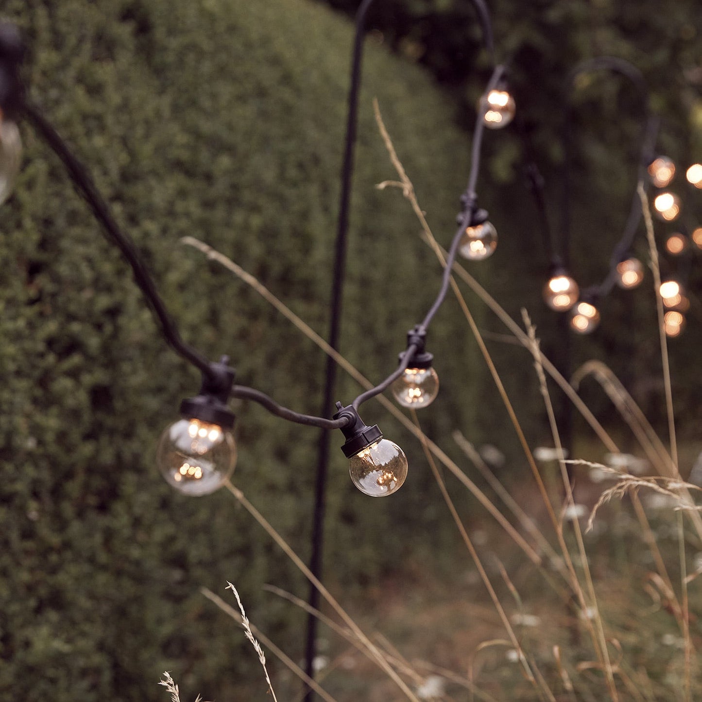 Pro Connect 10m 20 Warm White Connectable Festoon Lights Clear Cap Black Cable